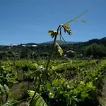 Quinta De Vodra Seia