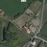 Quinta De Vodra * Seia