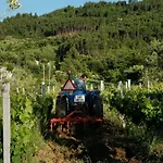 Quinta De Vodra Seia
