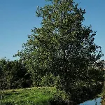 Quinta De Vodra Seia