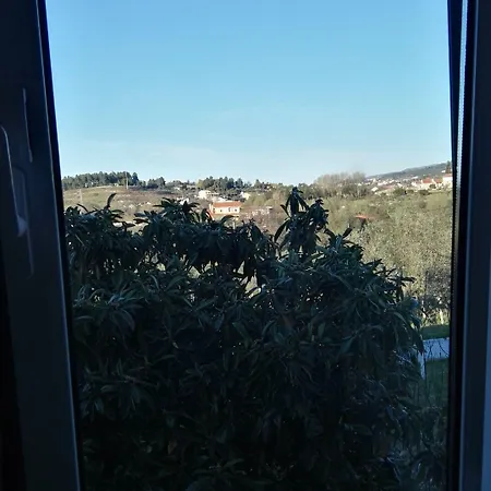 Quinta De Vodra Bauernhof