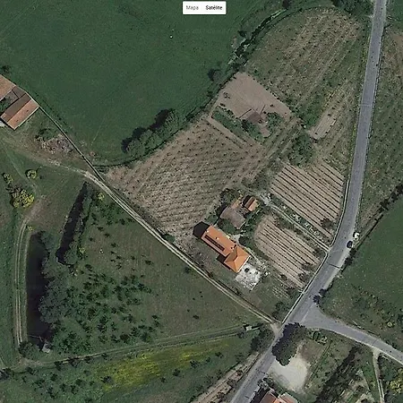 Quinta De Vodra * Seia