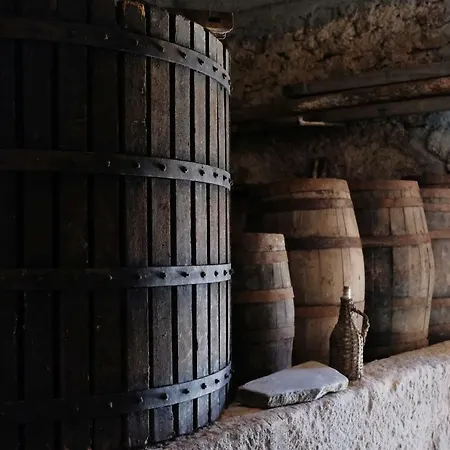 Farm stay Quinta De Vodra