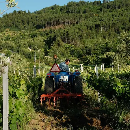 Quinta De Vodra Seia