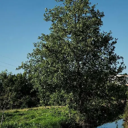 Quinta De Vodra Seia