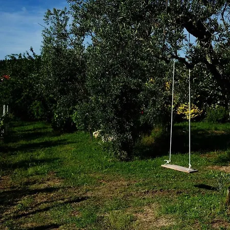 Quinta De Vodra Seia