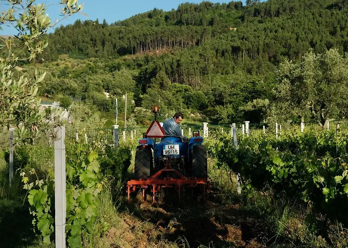 Quinta De Vodra Seia
