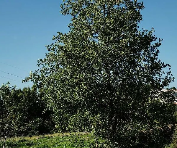 Quinta De Vodra Seia