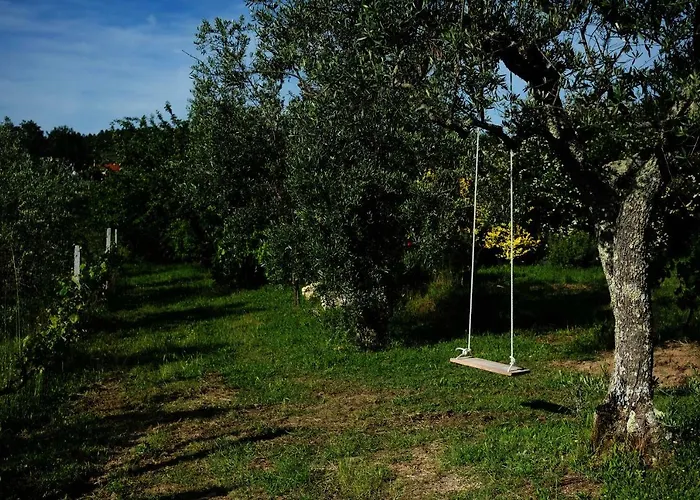 Quinta De Vodra Seia