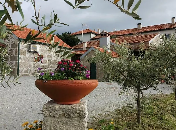 Quinta De Vodra * Seia